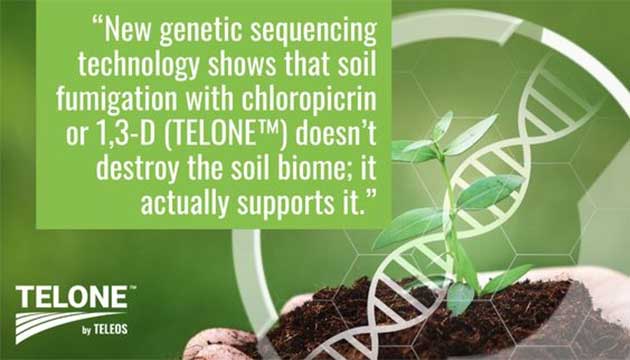Common Myth: TELONE™ by Teleos “Wipes Out” Life in the Soil