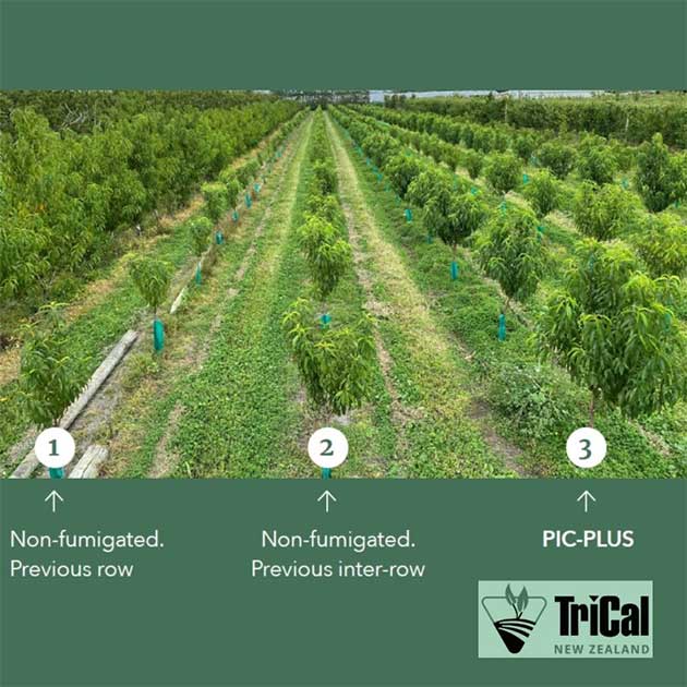 Pic-Plus Stone Fruit Trial Results