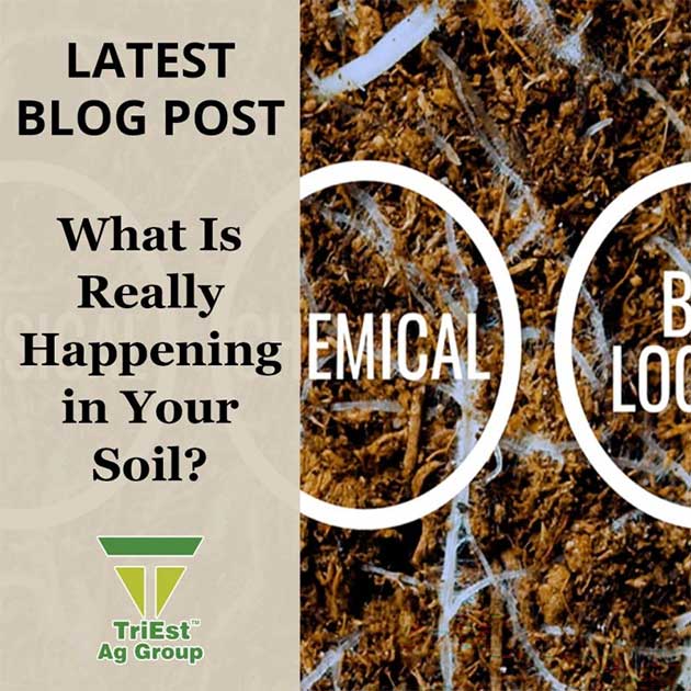 What Is Really Happening in Your Soil?