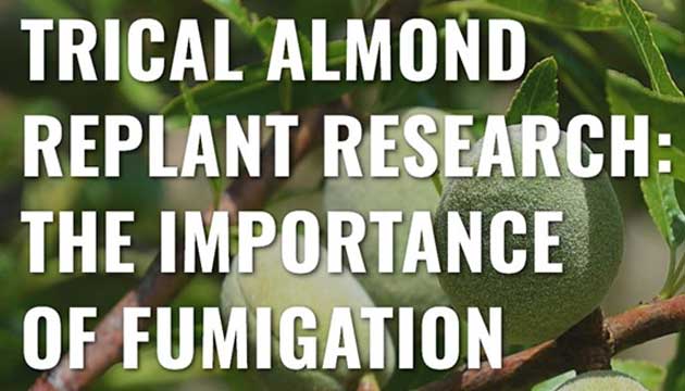 TriCal Almond Replant Research: The Importance of Fumigation for Growers