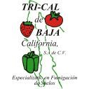 TriCal de Baja Logo