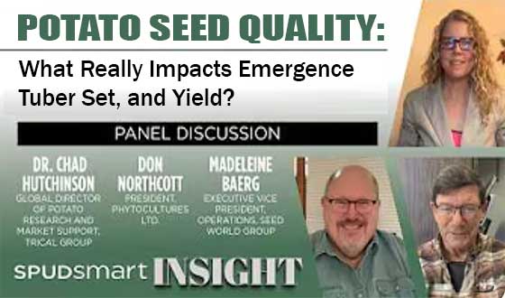 Potato Seed Quality -    What Actually Drives Emergence, Yield, and Uniformity? 