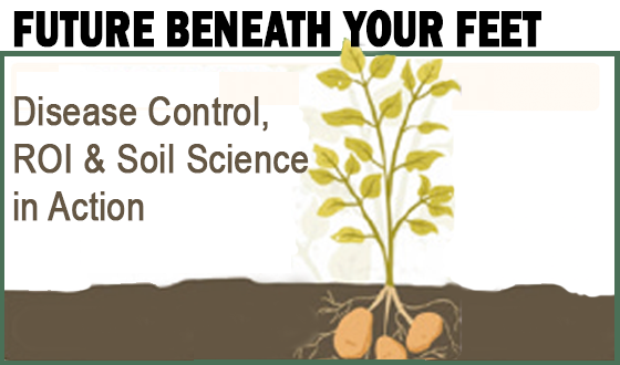 The Future Beneath Your Feet