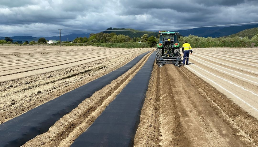 Trical NZ completes Watermelon Fumigation