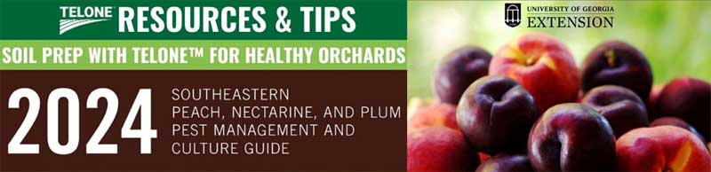 Southeastern Peach, Nectarine, and Plum Pest Management and Culture Guide