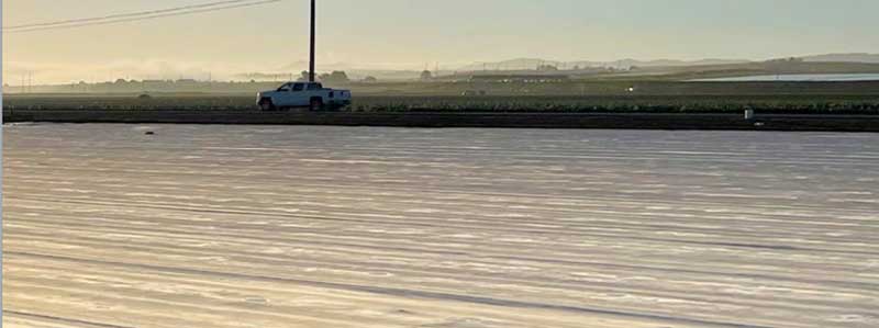 TriCal Inc. covers in California in Plastic 