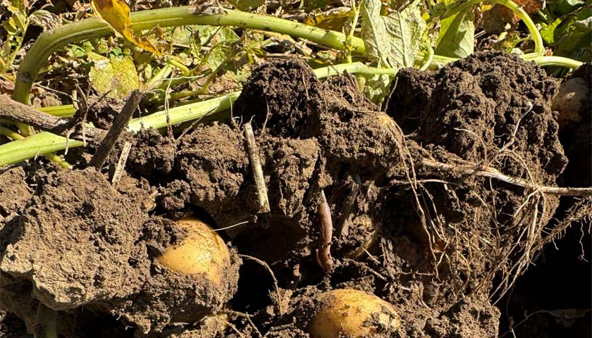 Meister Media Worldwide's Annual Soil Health Report.