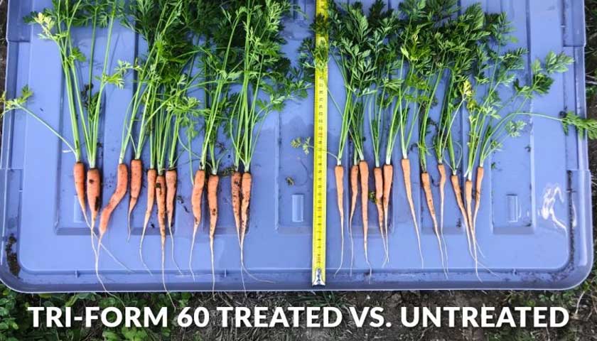 Let the Carrots Speak for Themselves