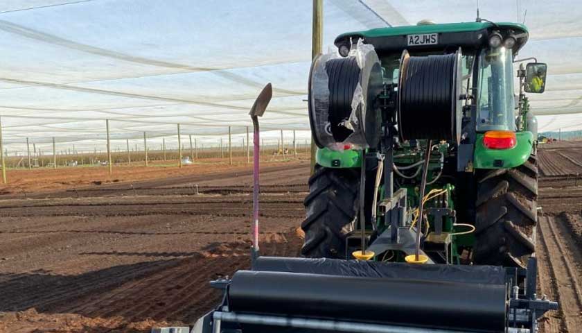 TriCal NZ Fumigates Blueberries in the North Island