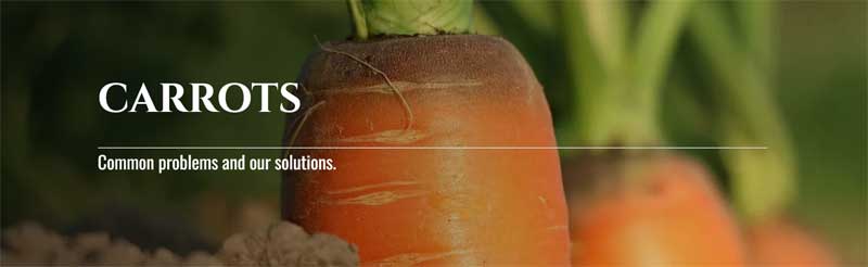 Teleos Ag's New Carrot-Specific Crop Page