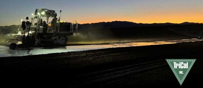 Soil Fumigation Project for Raspberry crops in Santa Maria