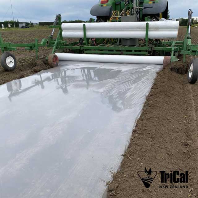 Securing the Future of New Zealand Orchards