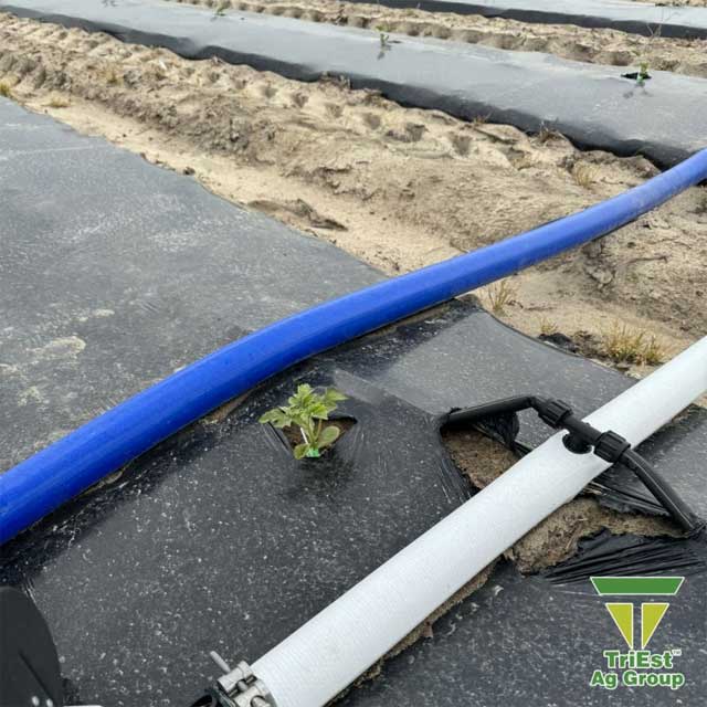 FlexNet<sup>®</sup> Portable Submain Solution