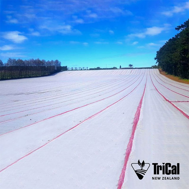 Efficient Soil Fumigation in Action