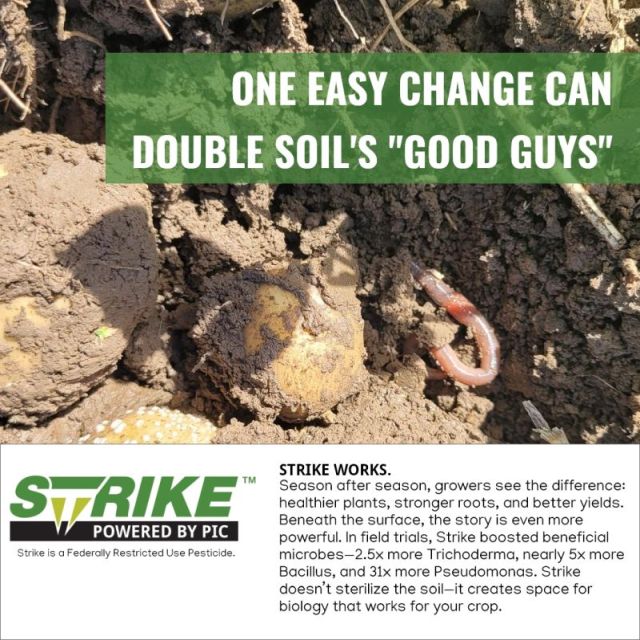 Field Trials Show Strike Strengthens Soil Health