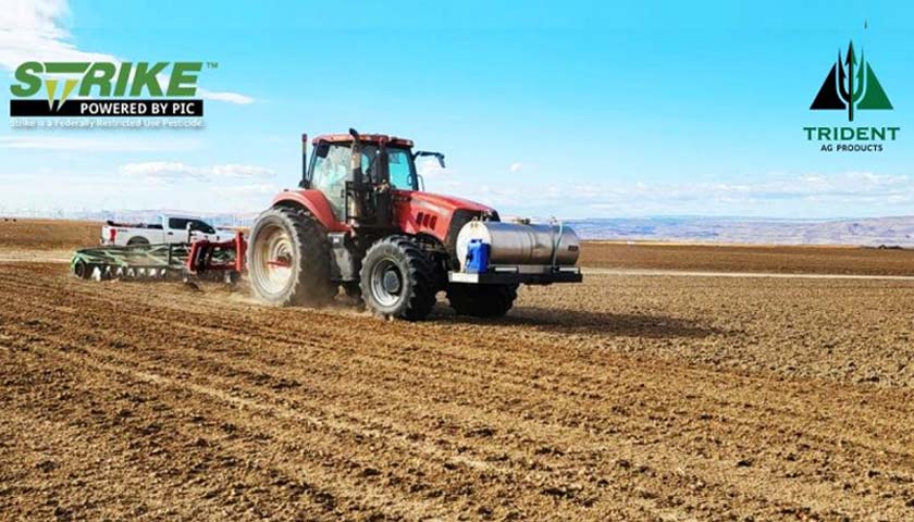 Potato Trial in Oregon focused on Tackling Pathogens
