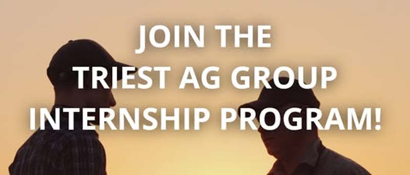 TriEst Ag Group Internships