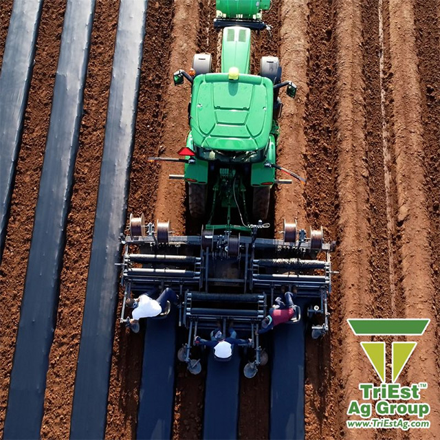 Soil Health is Important at Triest Ag