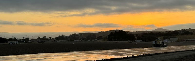 Supporting Healthy Strawberry Crops