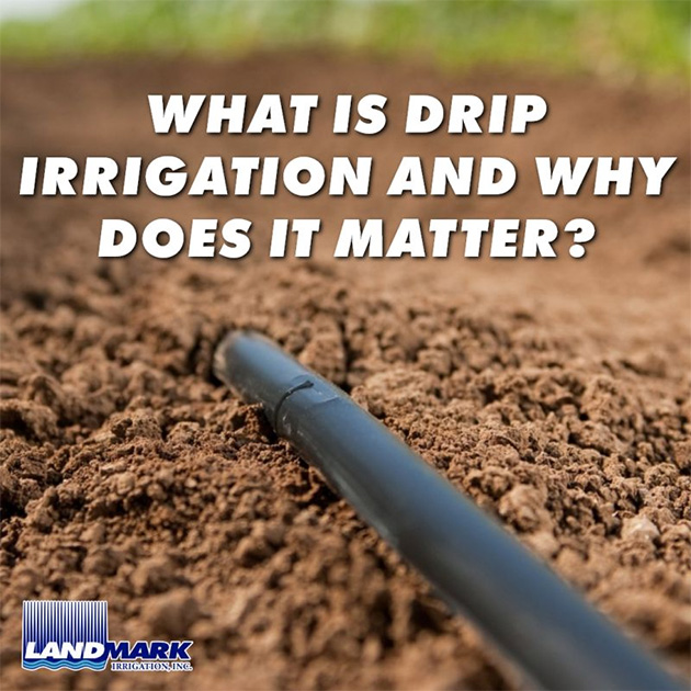 What Is Drip Irrigation and Why Does It Matter?