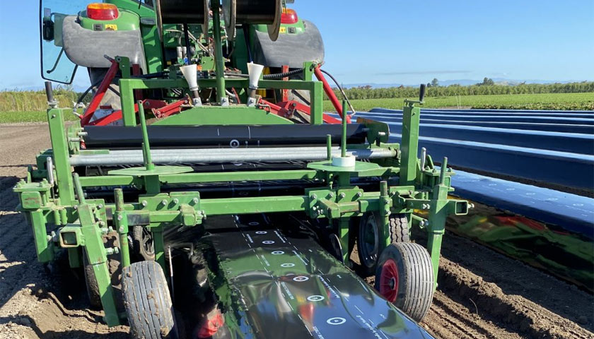 Future New Zealand Strawberries