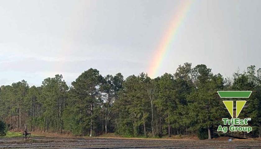 Double Rainbows Grace Irrigation Project