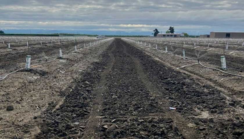 Elevating Irrigation Standards with Precision