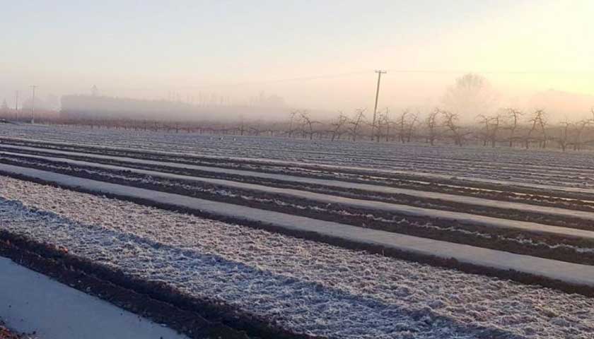 Boosting Soil Health for Thriving Orchards