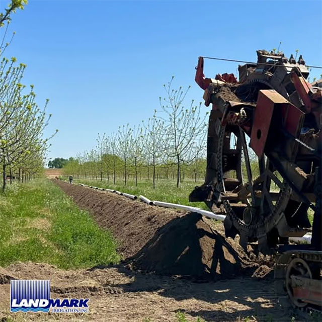 Sprinkler Irrigation near Knights Landing, CA