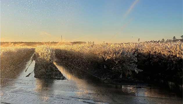 Be Prepared for Frost in 2026.