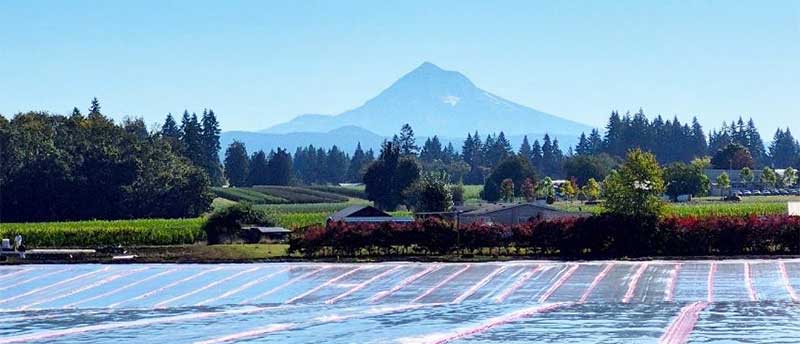 My Office View for the Day