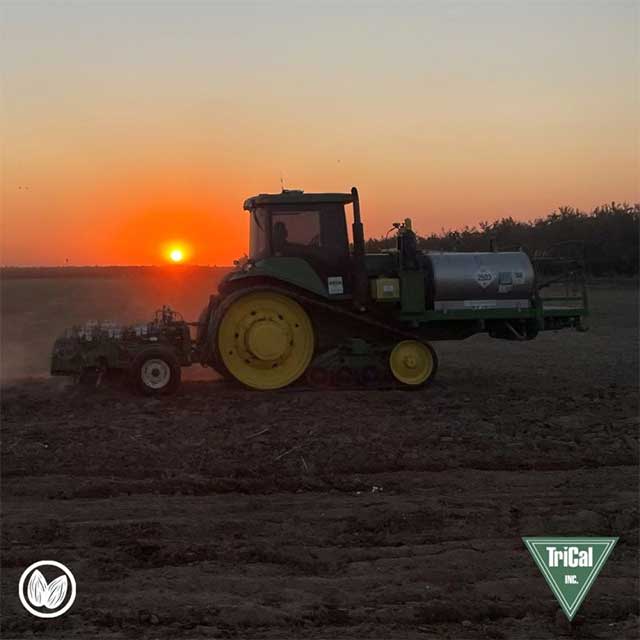 Don’t Wait, Get your Soil Ready for Success.