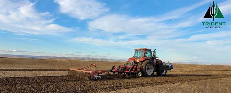 Soil Health is the Foundation of Productive Farming