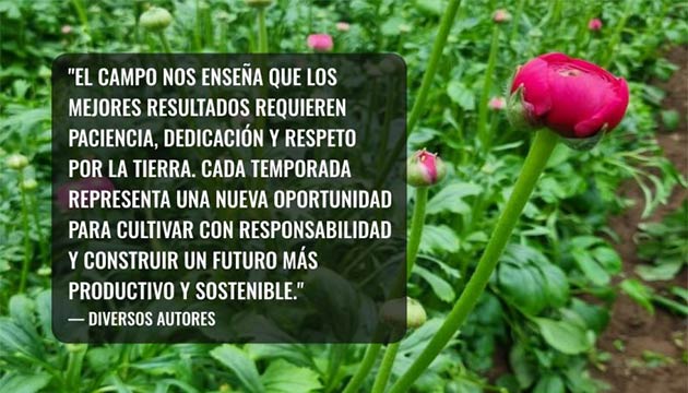 Sustainable Agriculture | South America