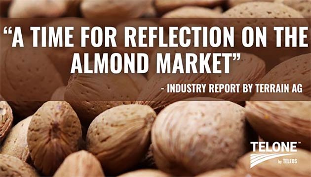 Almond Industry is Moving Toward Greater Stability