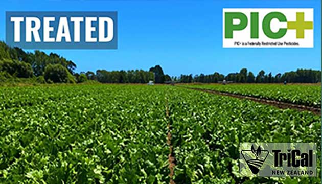 Healthy Crops Start with Proactive Soil Management. 