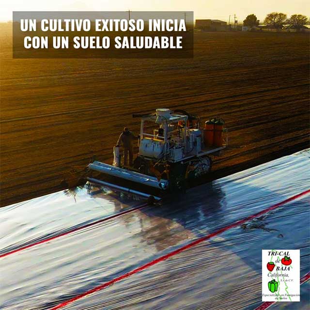 A Successful Crop Starts with Healthy Soil. 