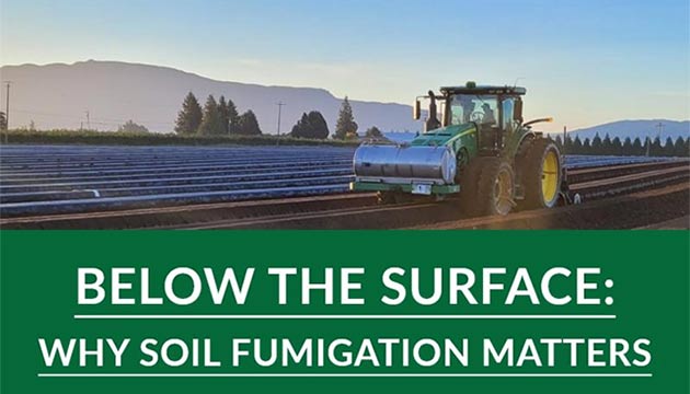 Why Soil Fumigation Matters
