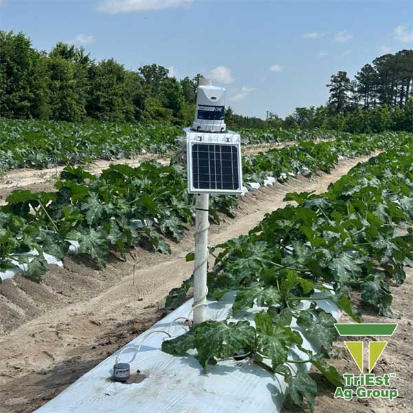 Use the Right Drip Irrigation and Fertigation Solutions