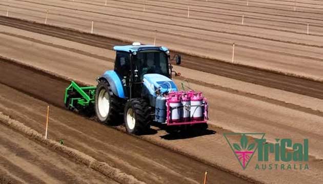 Proven Pre-Plant Soil Fumigation Solutions