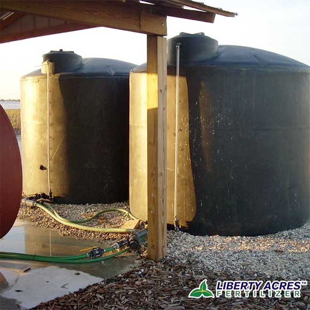 Red Bell Pepper | Baja California