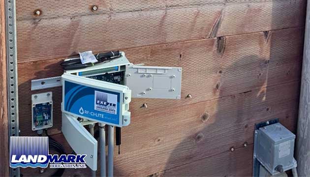 Citrus | Exeter, California