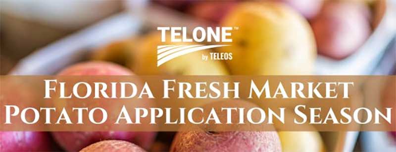 Fresh Market Potato Season is Underway