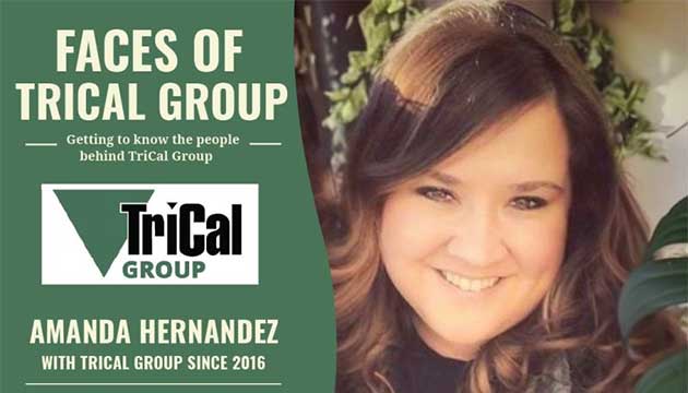 Faces of TriCal Group: Amanda Hernandez