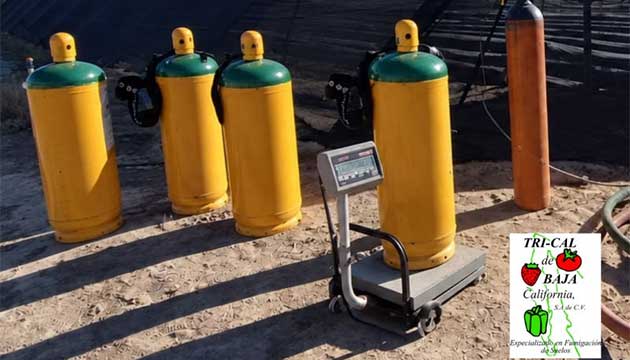 Soil Fumigation | Mexico