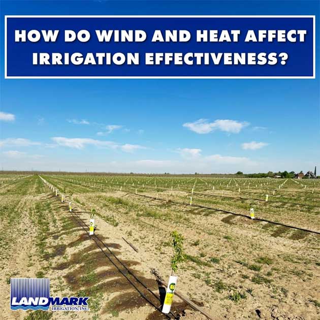  How Do Wind and Heat Affect Irrigation Effectiveness?