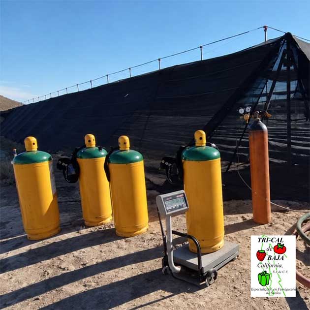 Soil Fumigation | Mexico
