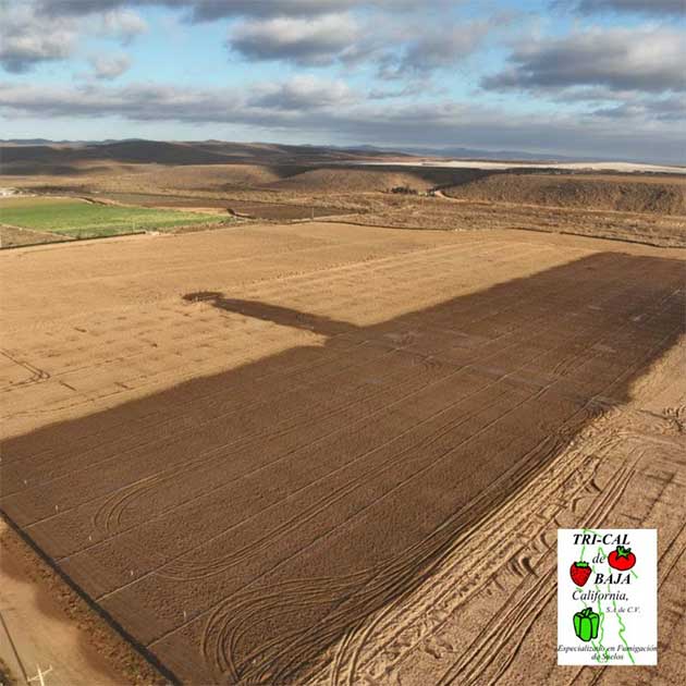 Irrigation Management | Baja California