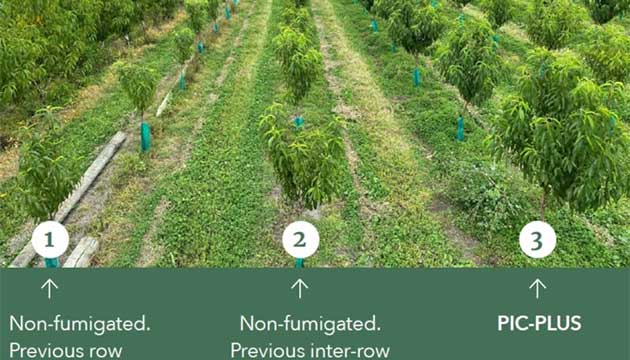 Stone Fruit Trial Results Released