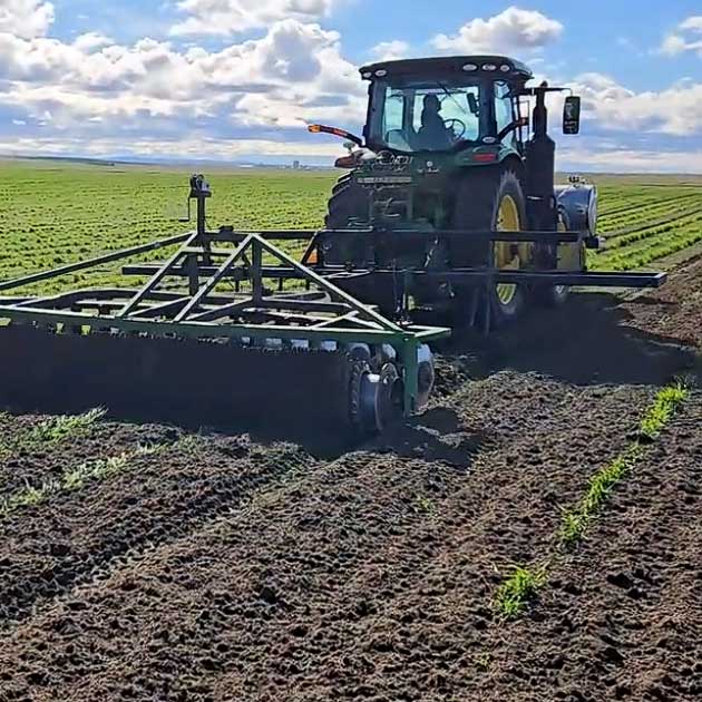 Onions | Irrigon, OR